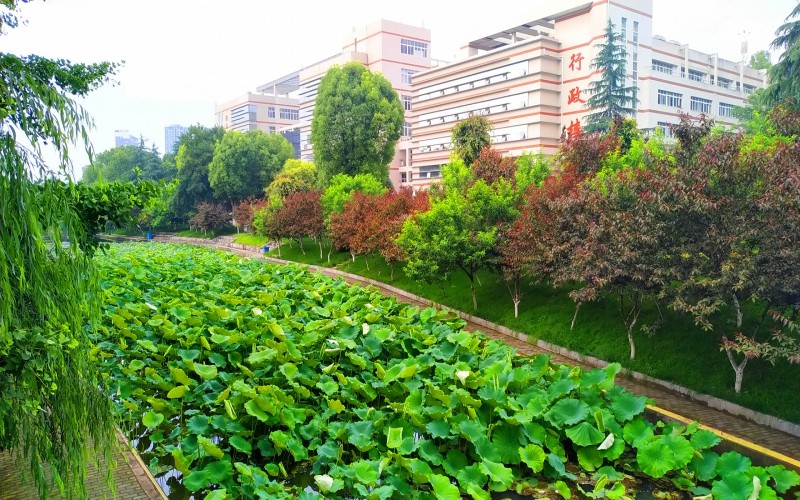 三峡大学校园风景