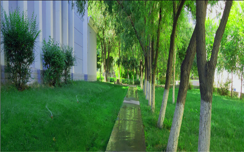 新疆大学校园风景