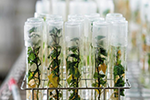 2023年植物生产类学科大学排名
