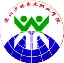 嵩山少林武术职业学院LOGO