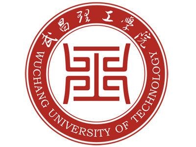 武昌理工学院LOGO