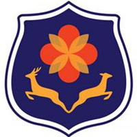 武汉学院LOGO