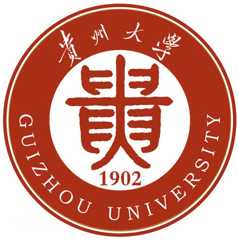 贵阳信息科技学院LOGO