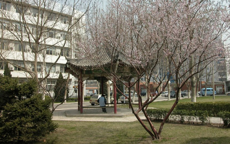 天津医科大学校园风景