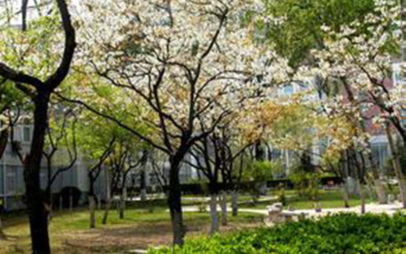 天津医科大学校园风景