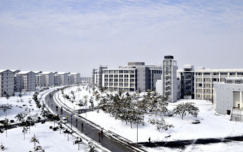 安徽大学校园风景