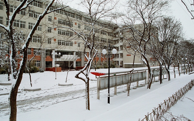 安徽农业大学校园风景