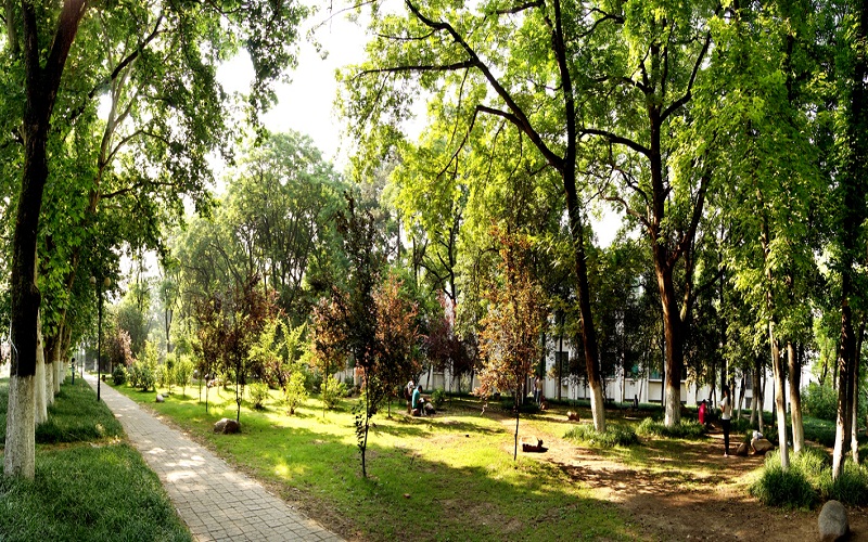 安徽农业大学校园风景