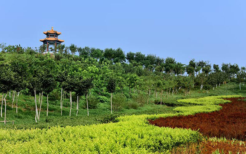 天津中医药大学校园风景