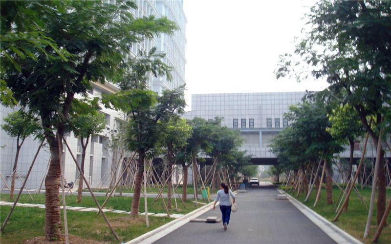 阜阳师范大学校园风景