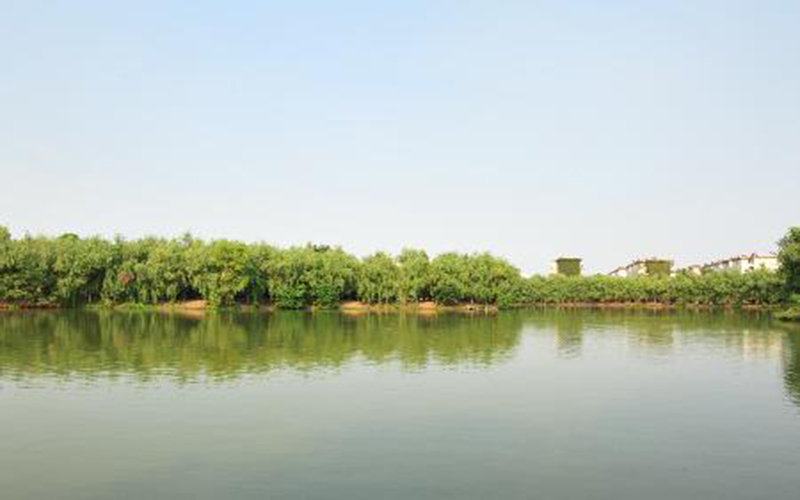 淮南师范学院校园风景