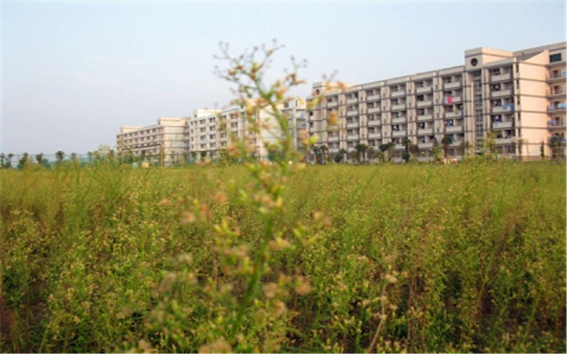 铜陵学院校园风景