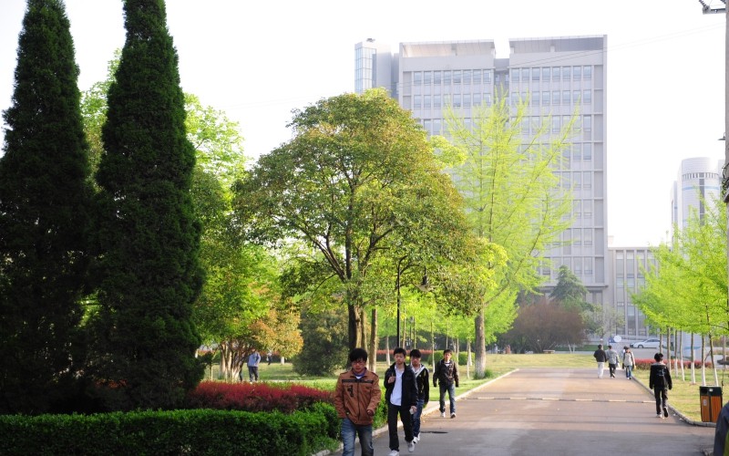 安徽科技学院校园风景