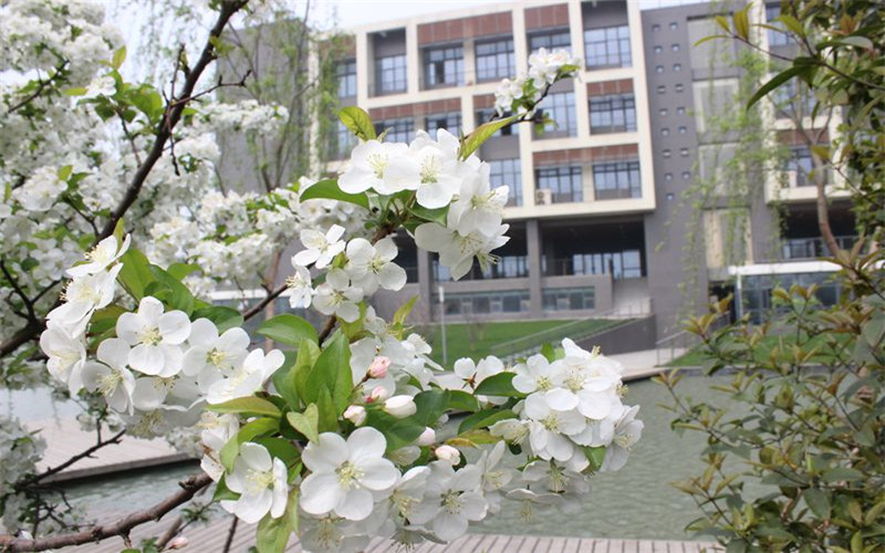 合肥学院校园风景