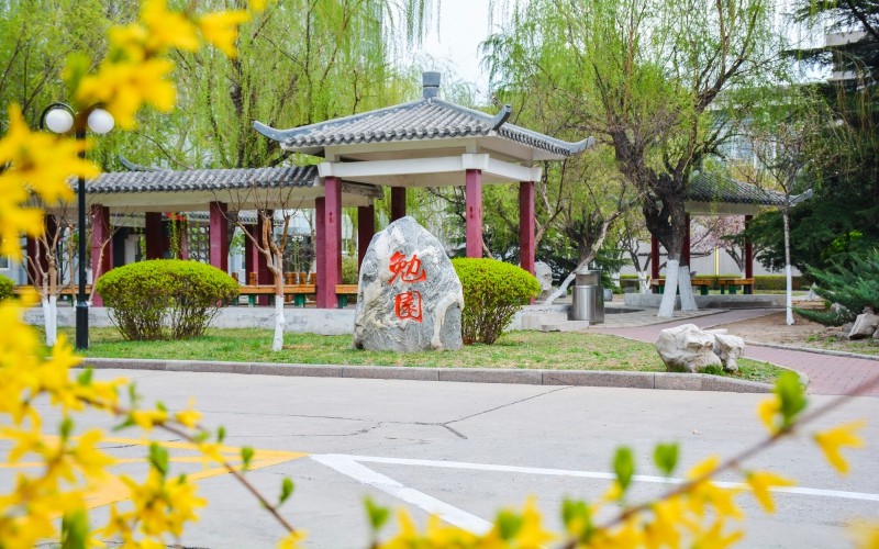 天津职业技术师范大学校园风景