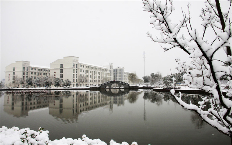 安徽文达信息工程学院校园风景