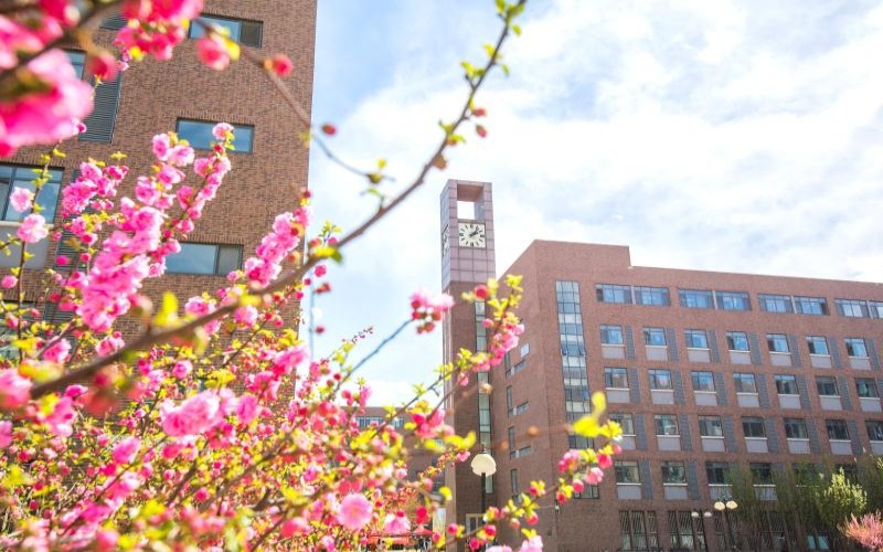 天津商业大学校园风景