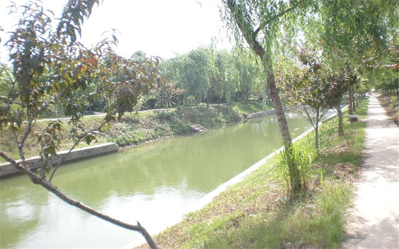 阜阳职业技术学院校园风景