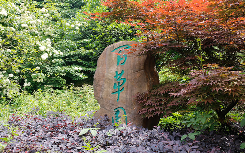 淮南职业技术学院校园风景