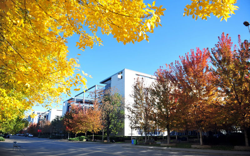 天津财经大学校园风景