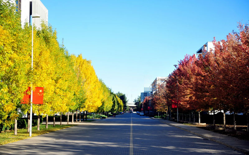 天津财经大学校园风景