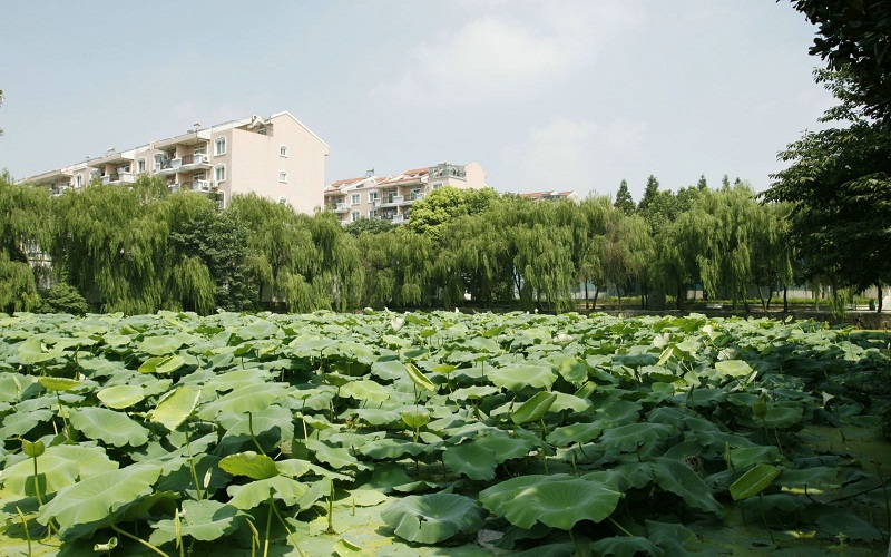 安徽交通职业技术学院校园风景