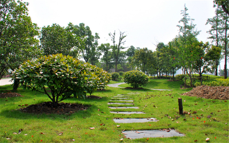 安徽城市管理职业学院校园风景