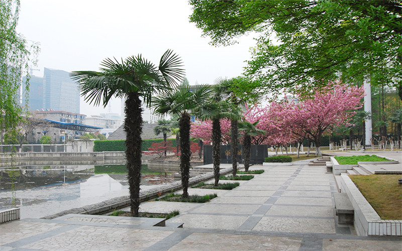 安徽邮电职业技术学院校园风景