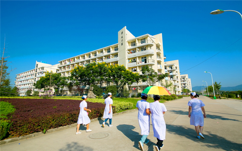 安庆医药高等专科学校校园风景