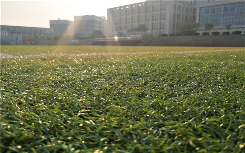 徽商职业学院校园风景