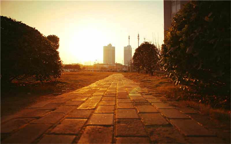 徽商职业学院校园风景