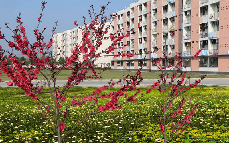 皖西卫生职业学院校园风景