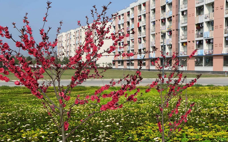 皖西卫生职业学院校园风景