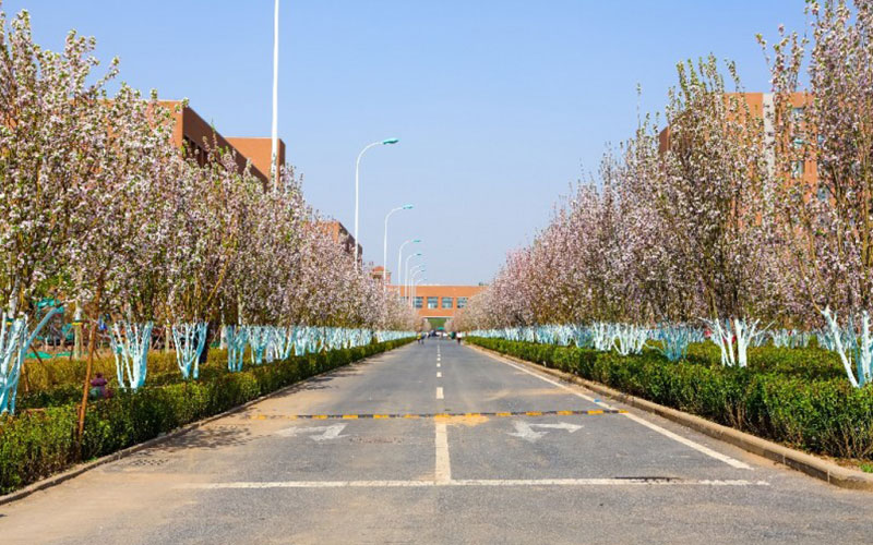 天津中德应用技术大学校园风景