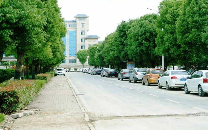 阜阳幼儿师范高等专科学校校园风景