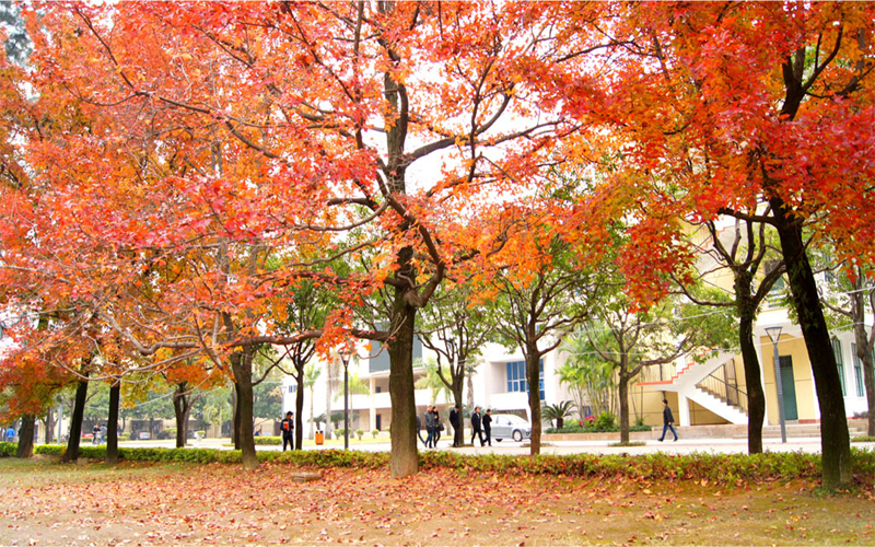 福州大学校园风景