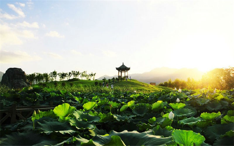 福建中医药大学校园风景