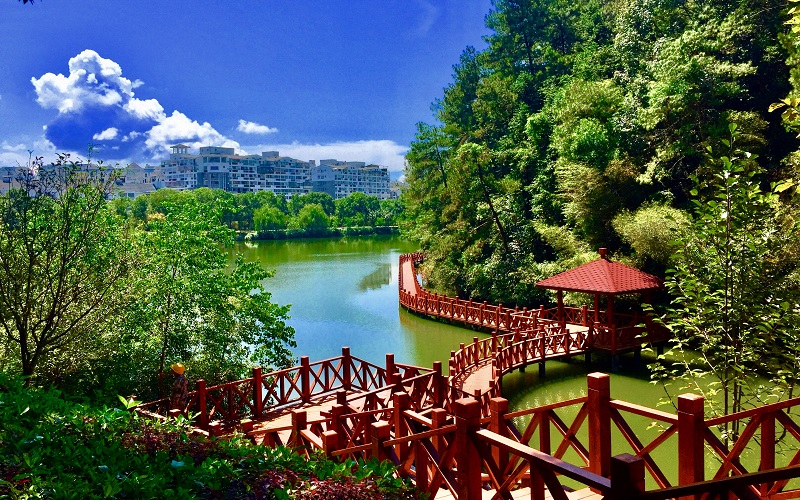 武夷学院校园风景