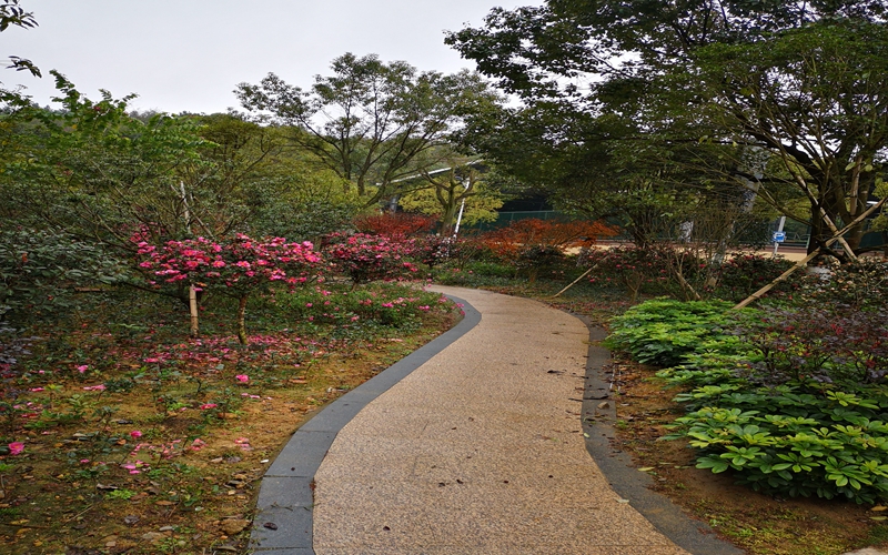 三明学院校园风景