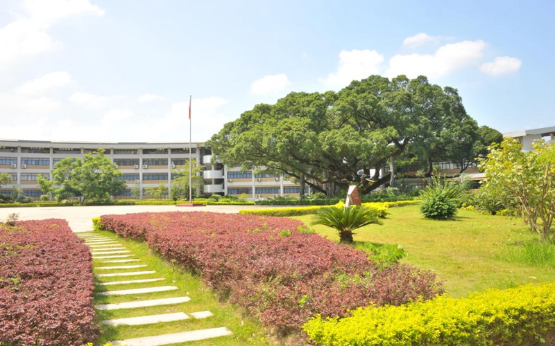 龙岩学院校园风景