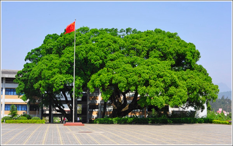 龙岩学院校园风景