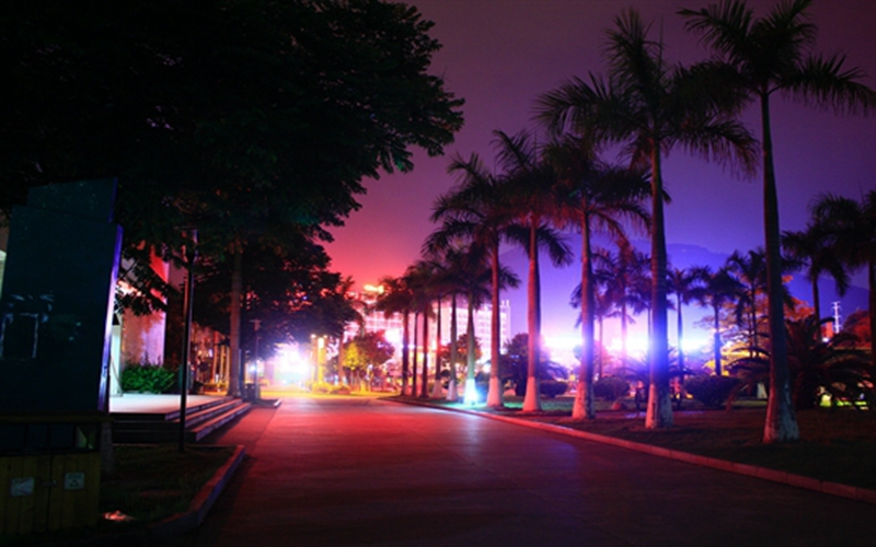 厦门华厦学院校园风景