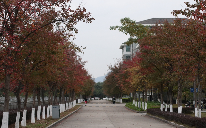 福建江夏学院校园风景