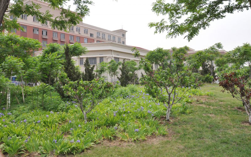 南开大学滨海学院校园风景