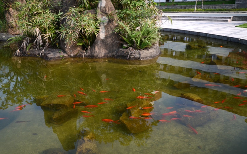 福建农业职业技术学院校园风景