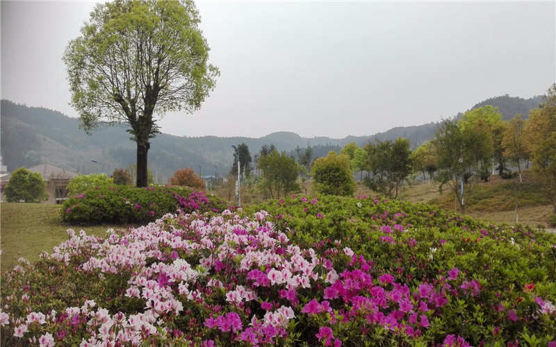 闽北职业技术学院校园风景