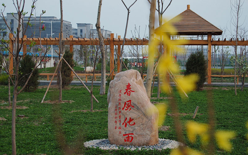 天津师范大学津沽学院校园风景