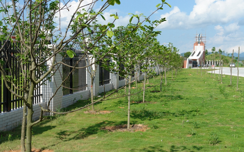 泉州工艺美术职业学院校园风景