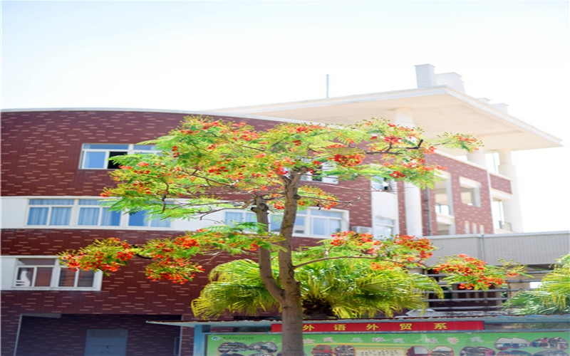 厦门软件职业技术学院校园风景