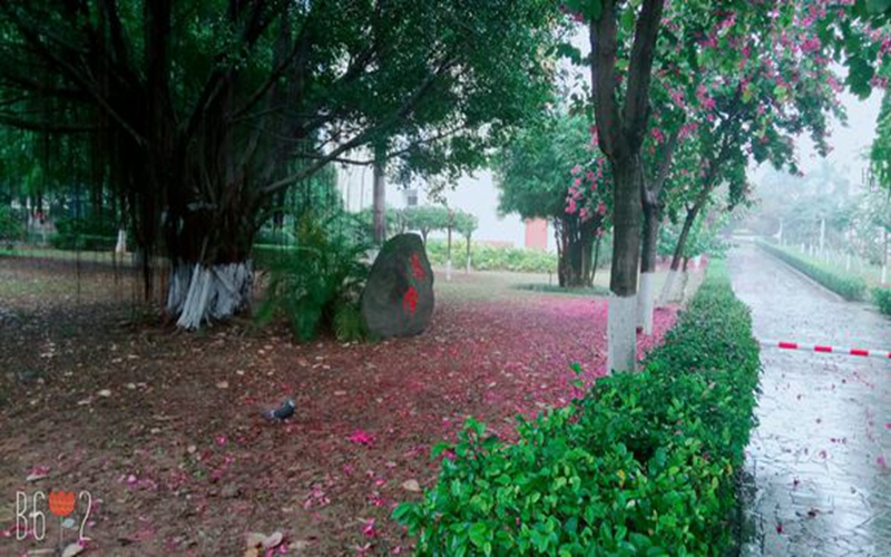 漳州卫生职业学院校园风景